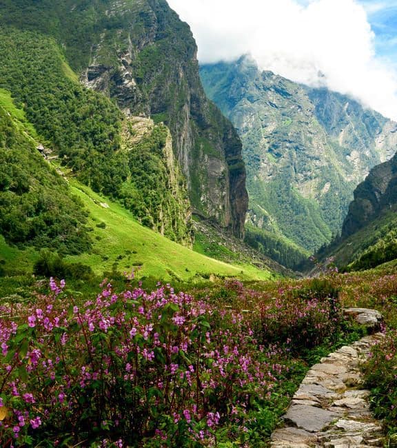 Valley of Flowers: A complete guide to India’s most colourful trek