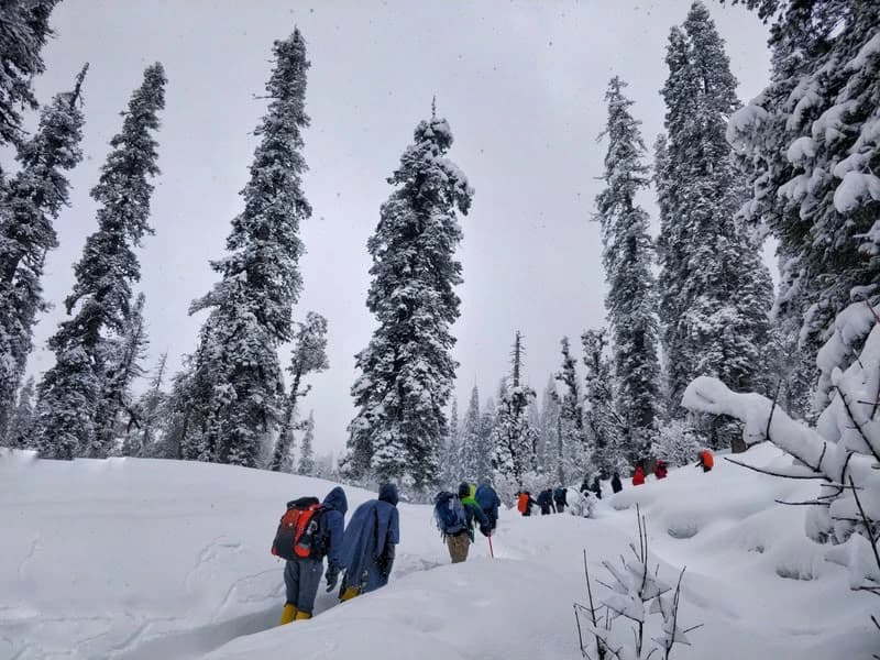 Dayara Bugyal Trek