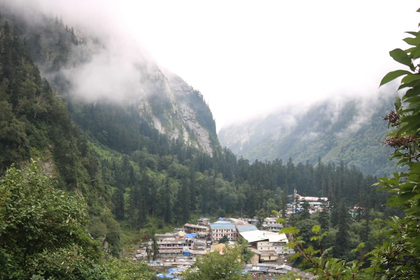 Valley of Flowers Trek